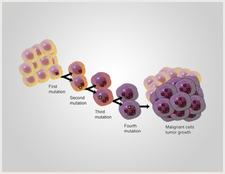 Part 3: Epigenetics And Cancer | Epigenetic Modification